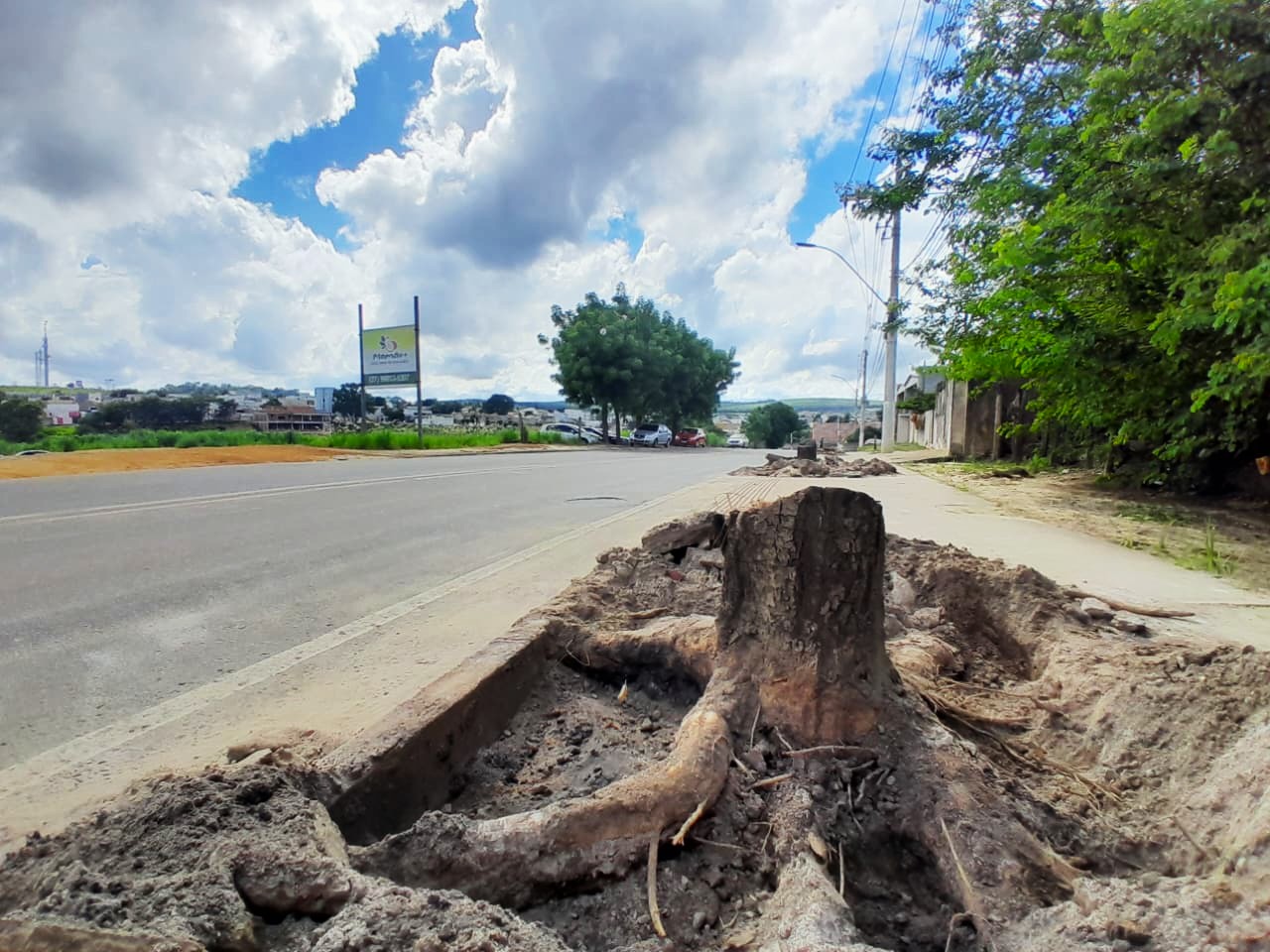 Prefeitura remove tocos de árvores e melhora acessibilidade em calçada do Pinheirinho